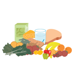 comidasalimentos (41)