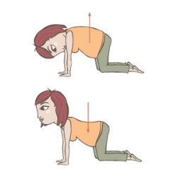 ejercicios (12)