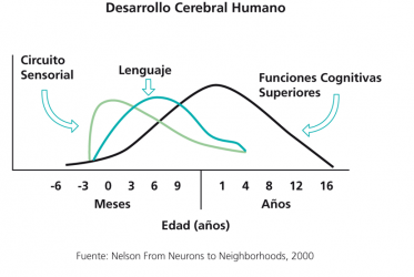 neurociencias1