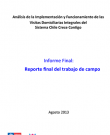 Análisis de la implementación y funcionamiento de las Visitas Domiciliarias Integrales del Sistema Chile Crece Contigo