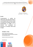 Levantamiento y análisis de información sobre desarrollo infantil y sus principales determinantes sociales y económicas, del grupo de niños/as pertenecientes al PADB, en el contexto del Subsistema de Protección a la Infancia Chile Crece Contigo