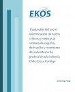 Evaluación del uso e identificación de nudos críticos y mejoras al Sistema de Registro, Derivación y Monitoreo del Susbsitema de protección a la Infancia Chile Crece Contigo