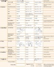 FR Evaluación Neurosensorial