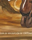 NM Guía de la Gestación y el Nacimiento Rapa Nui
