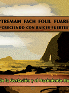 Imagen Destacada