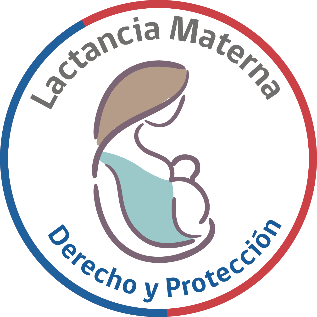 Postula a la convocatoria para ser parte de CONALMA ( Comisión Nacional de Lactancia Materna)