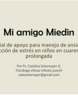 “Mi amigo Miedin”