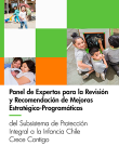 Panel de Expertos para la Revisión y Recomendaciones de Mejoras Estratégicas-Programáticas