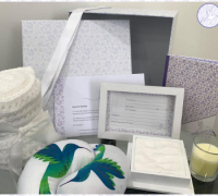 Lanzamiento del Proyecto Piloto: Fortalecimiento de la atención del duelo gestacional y perinatal