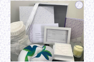 Lanzamiento del Proyecto Piloto: Fortalecimiento de la atención del duelo gestacional y perinatal