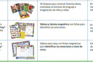 Chile Crece Contigo junto a Junji, Integra y Municipios realizan entrega nacional de materiales de estimulacion y apoyo al desarrollo socioemocional en primera infancia